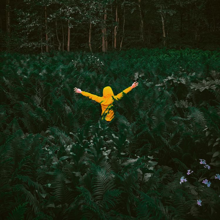 Person in Hoodie Posing among Green Plants · Free Stock Photo