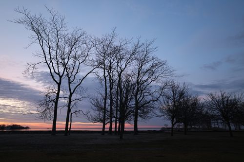 Free Silhouette of bare trees against a colorful sunset sky, creating a dramatic and peaceful landscape. Stock Photo