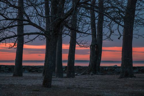 Free A serene sunset over a beach with silhouetted trees and a stone wall in the foreground. Stock Photo