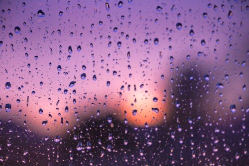 Kostnadsfri bild av efter regn, regn, regndroppar