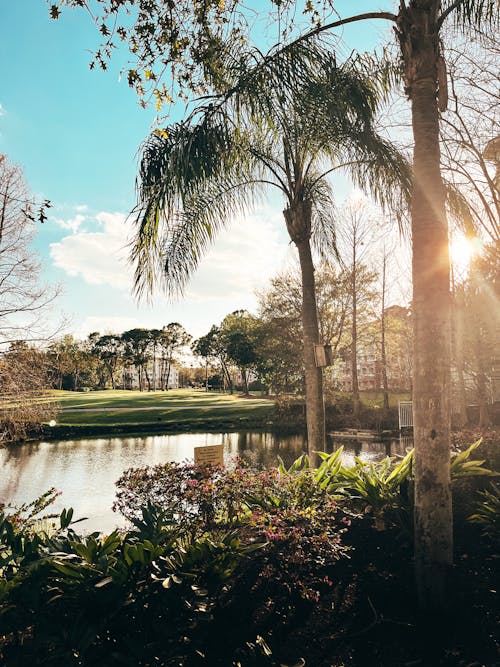 Free stock photo of artificial lake, florida, golf course