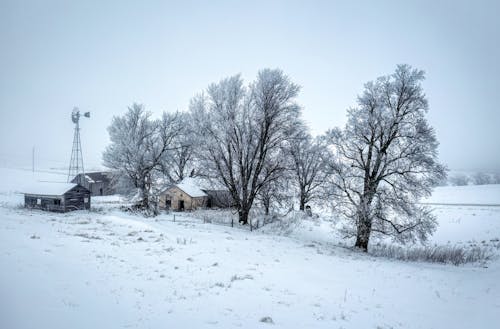 Farm in Snow