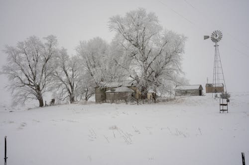 Another Burst of Cold and Snow Targets Midwest Region