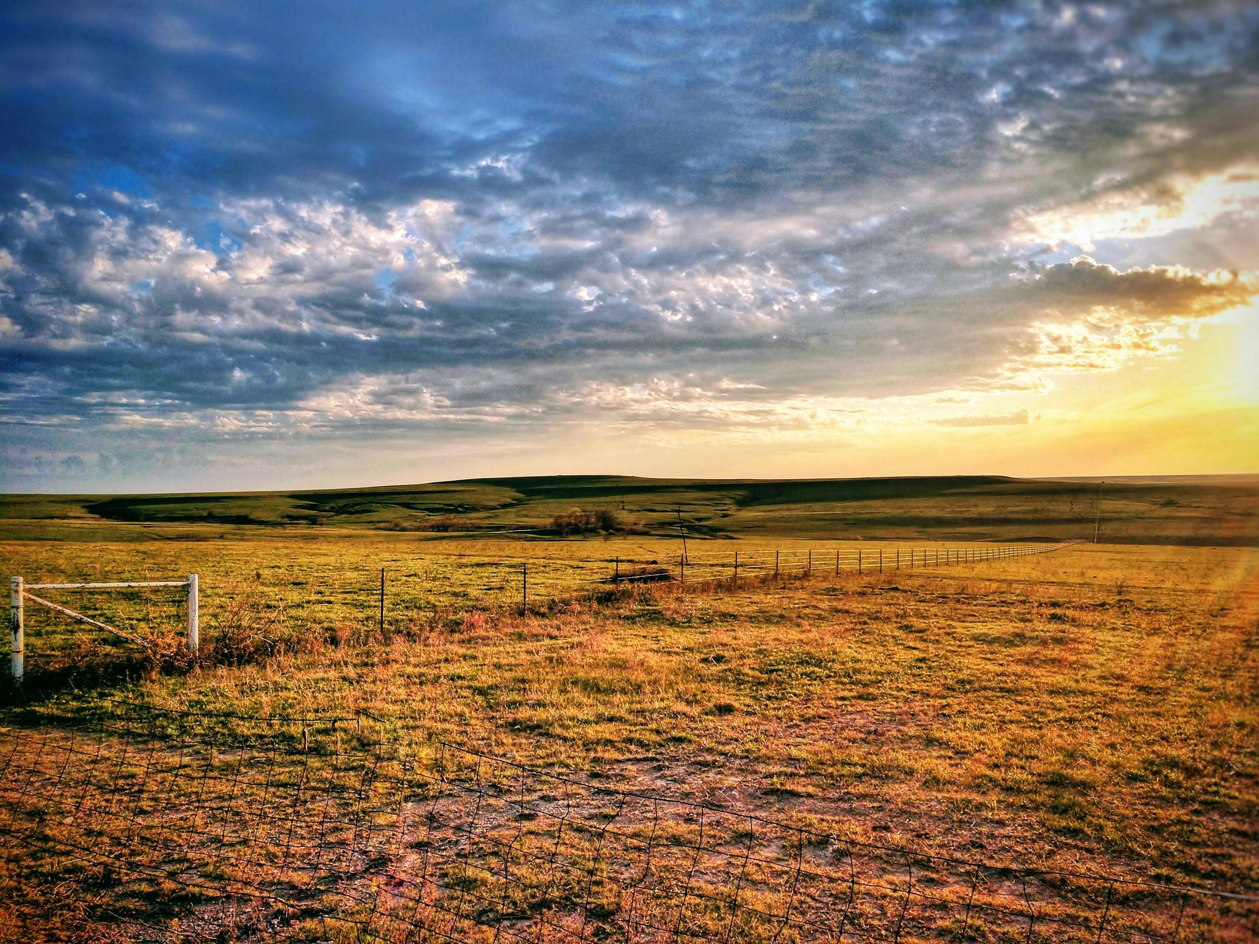 Prairie Fare: Smart and quick food safety during a refrigerator power outage - farmforum.net — Photo by Taylor Hunt on Pexels