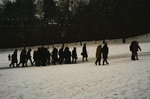 Group of People Walking across a Snow-Covered Park