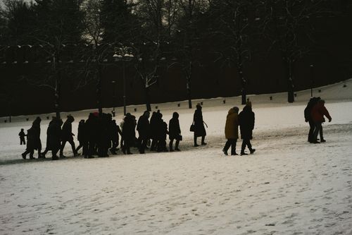 Free Group of people in warm clothing walking through a snowy park during winter, bare trees in the background. Stock Photo