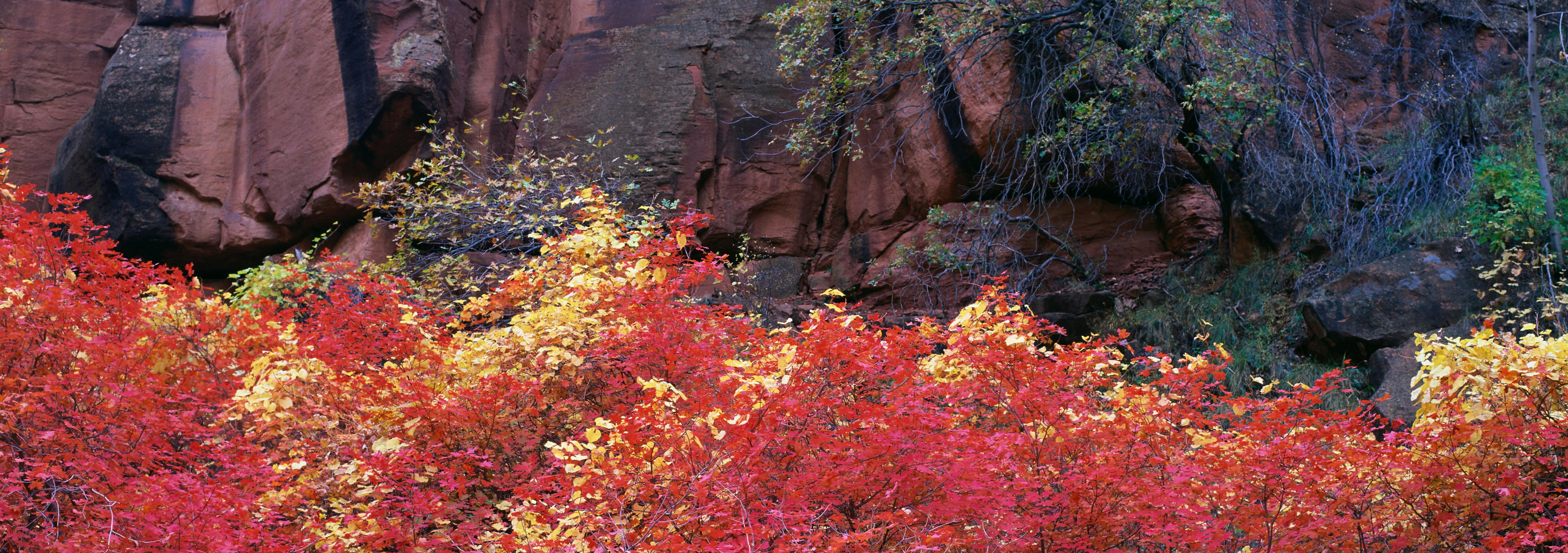 南宁征信机构如何用肇新智能文档比对分析扫描版信用报告的数据变动