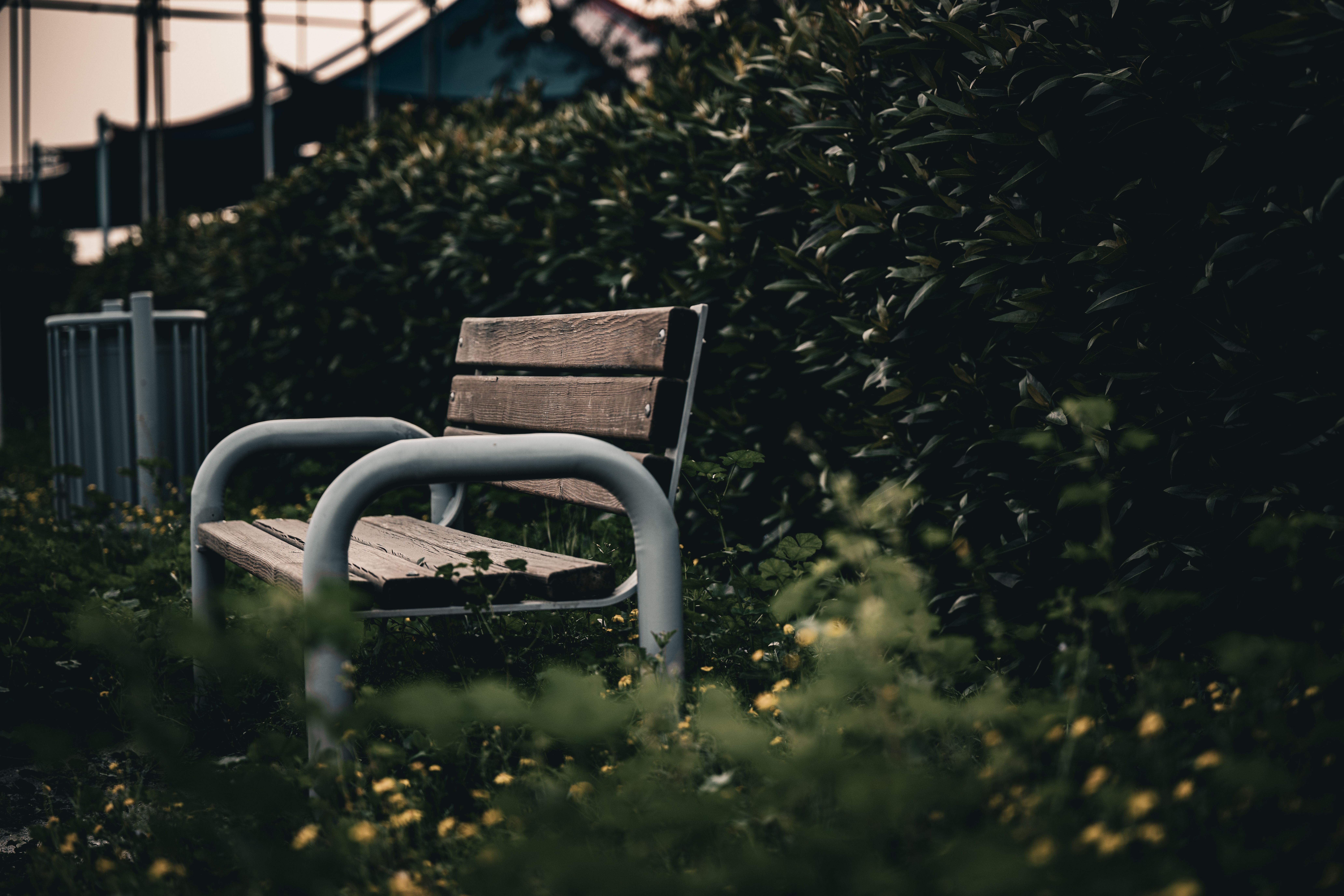 Empty Bench in a Park · Free Stock Photo