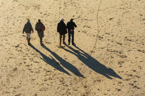 Free Four people walking on a sandy beach casting long shadows, shot from above. Stock Photo