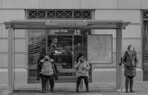Základová fotografie zdarma na téma autobusová zastávka, čekání, černobílý