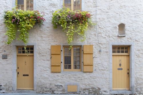 Potted Plants Decorating Old House