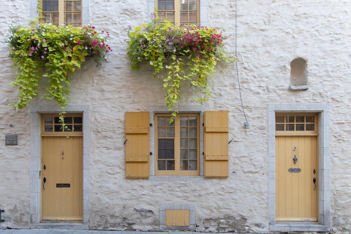 Potted Plants Decorating Old House