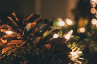 松果在发光的圣诞灯下特写，唤起了节日的气氛