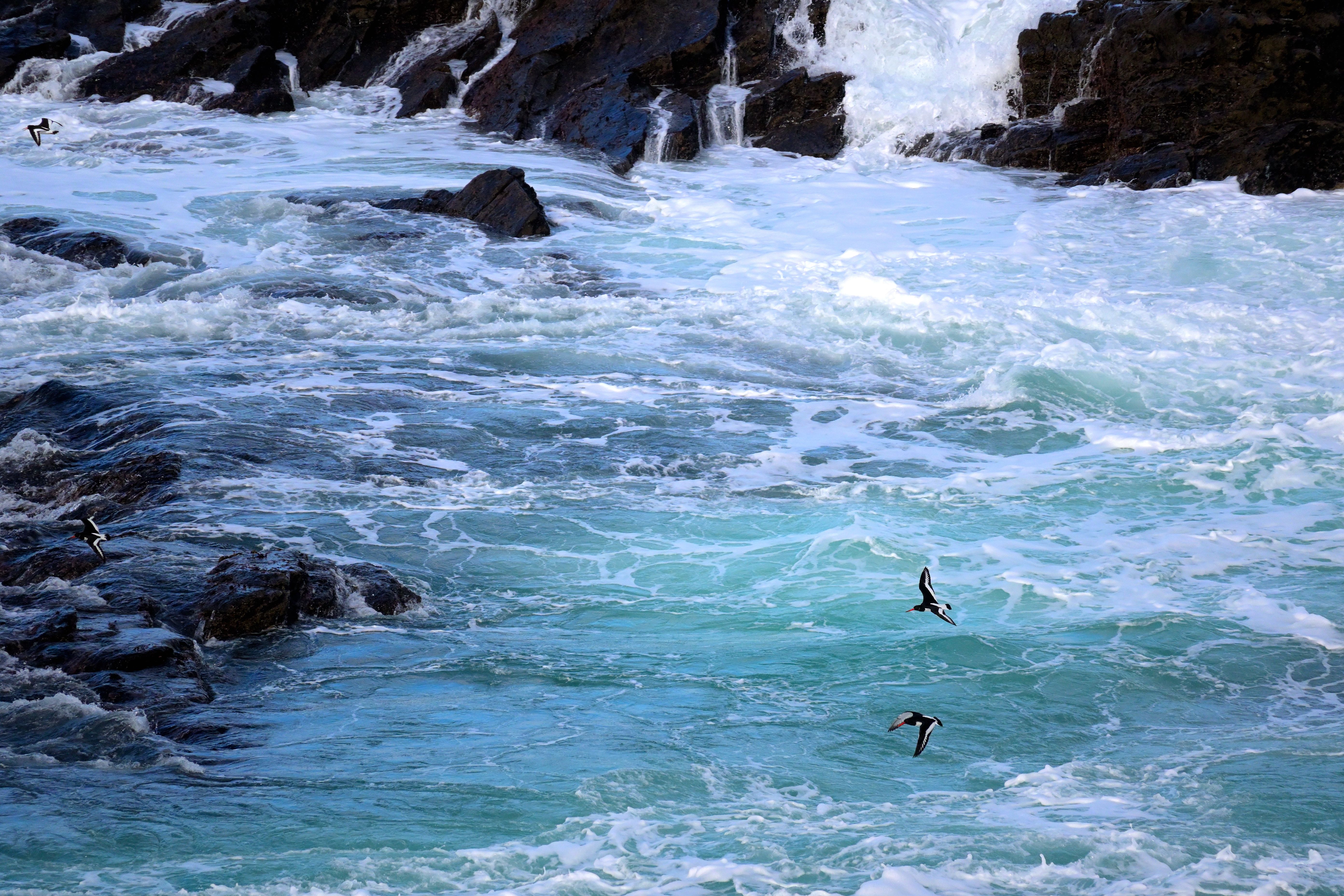 Doolin
