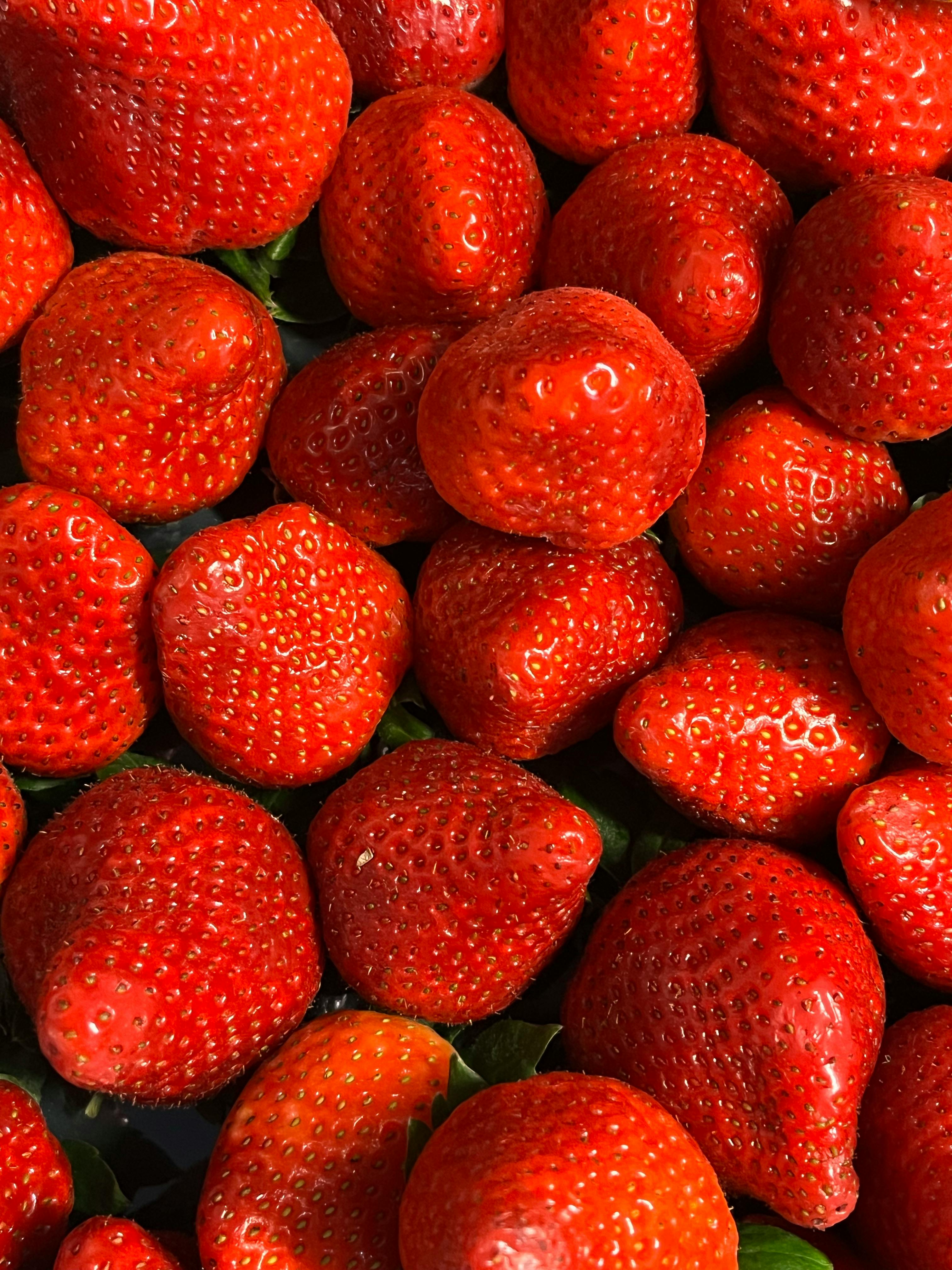 HD wallpaper sliced strawberries strawberry food plant fruit pastry  farm  Wallpaper Flare