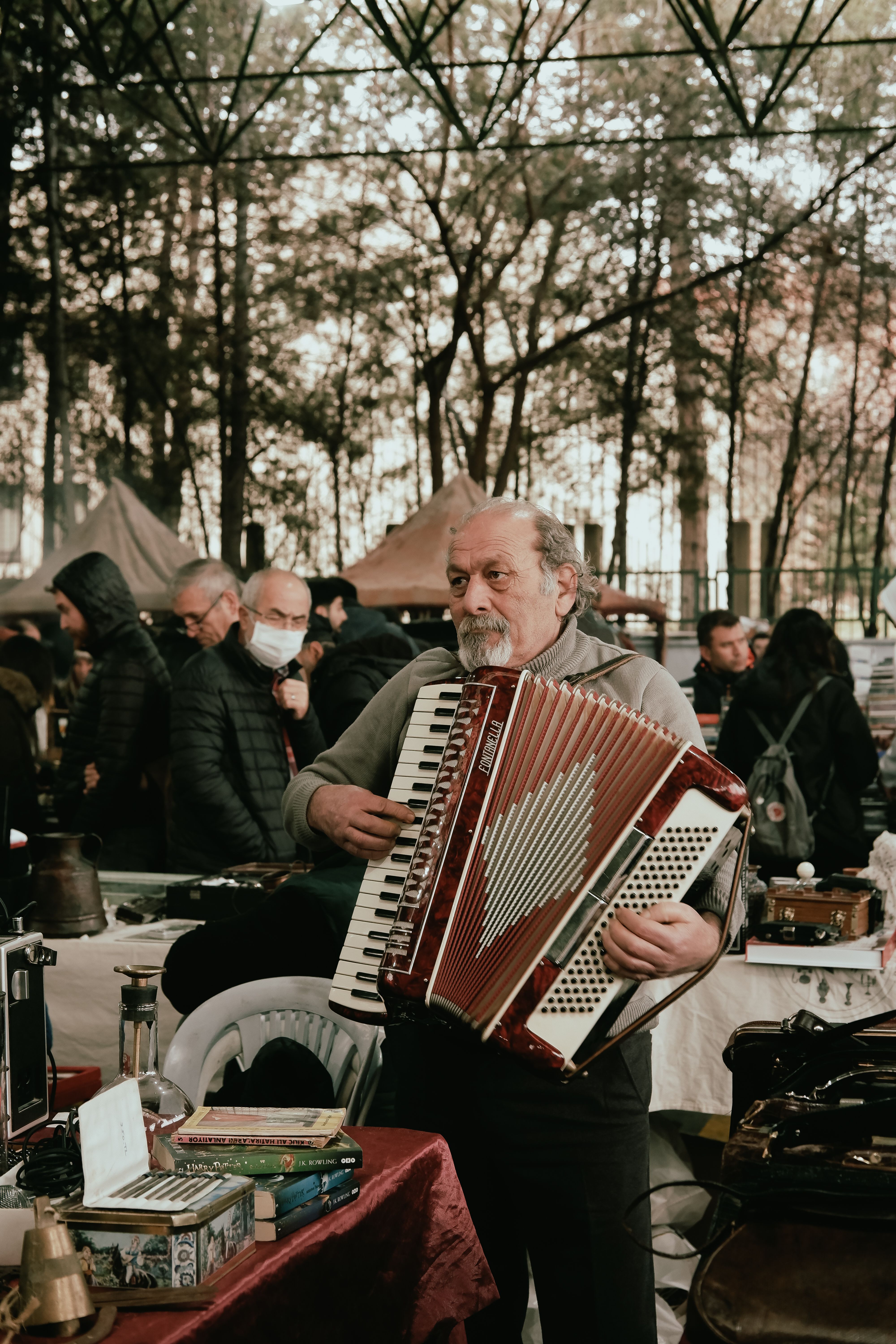 Man Sitting Playing Accordion · Free Stock Photo