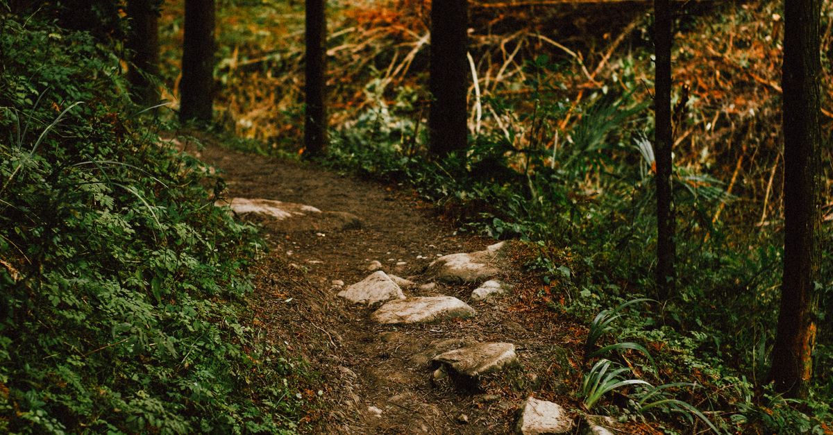 Sharp Rocks On Path Rocks on Path in Forest · Free Stock Photo