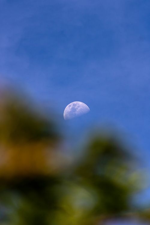 Free stock photo of day, heaven, moon Stock Photo
