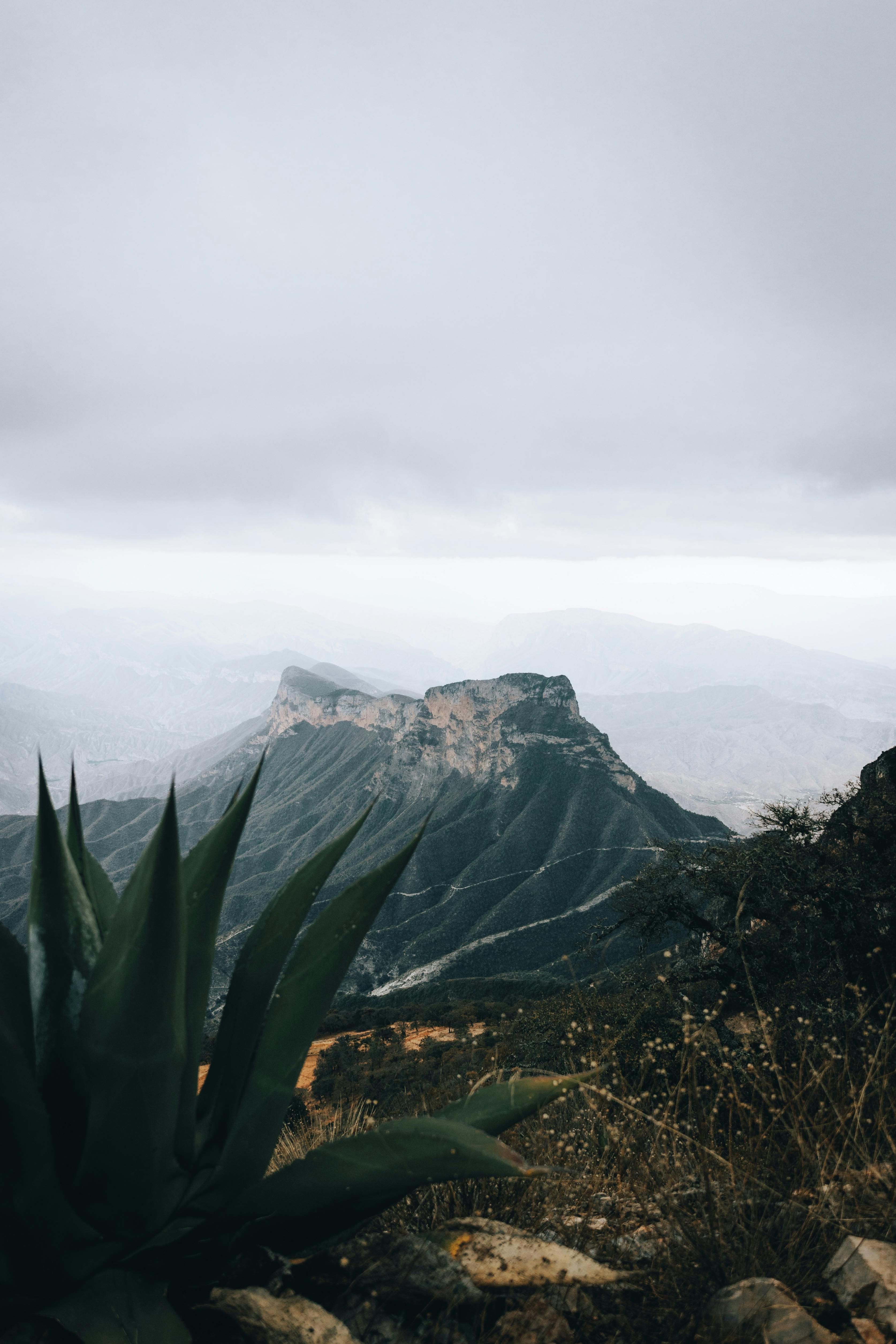 Stunning rugged mountain landscape with an aloe plant in the foreground under a cloudy sky.
