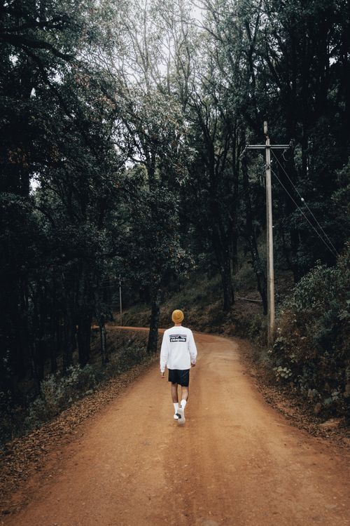 A Man Walking on a Road in the Forest · Free Stock Photo