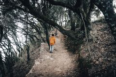 Guided Rudradhari falls hike