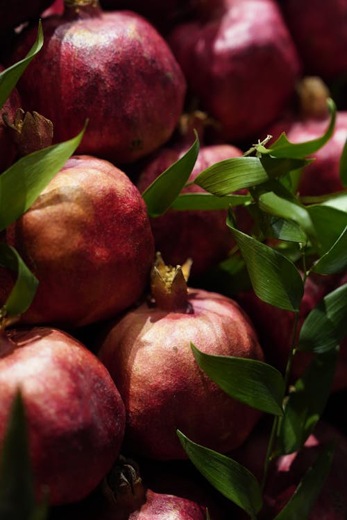 Kostenloses Stock Foto zu blätter, essensfotografie, frucht