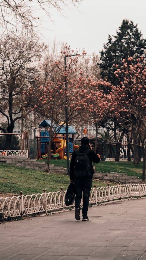 Back View of a Man Walking in a Park in City 