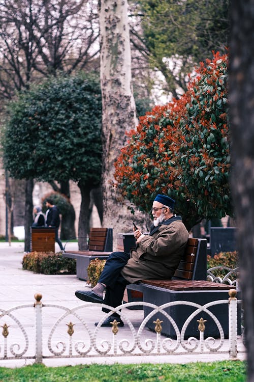 Imagine de stoc gratuită din arbori, armonios, bancă