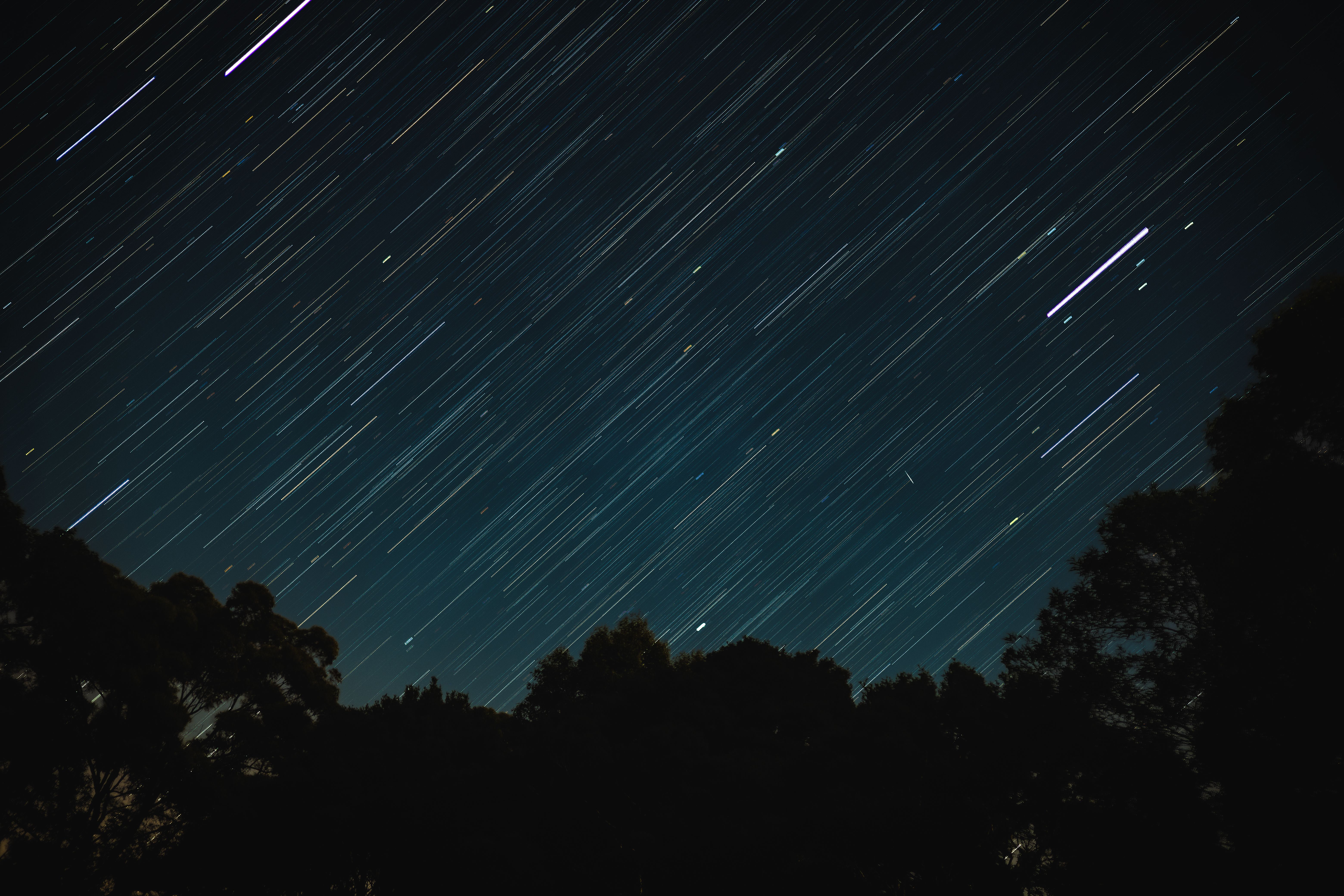 Captivating long exposure of star trails over silhouetted trees at night, perfect for space enthusiasts.