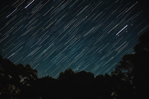 Captivating long exposure of star trails over silhouetted trees at night, perfect for space enthusiasts.