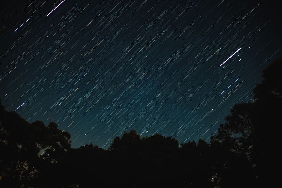 Captivating long exposure of star trails over silhouetted trees at night, perfect for space enthusiasts.