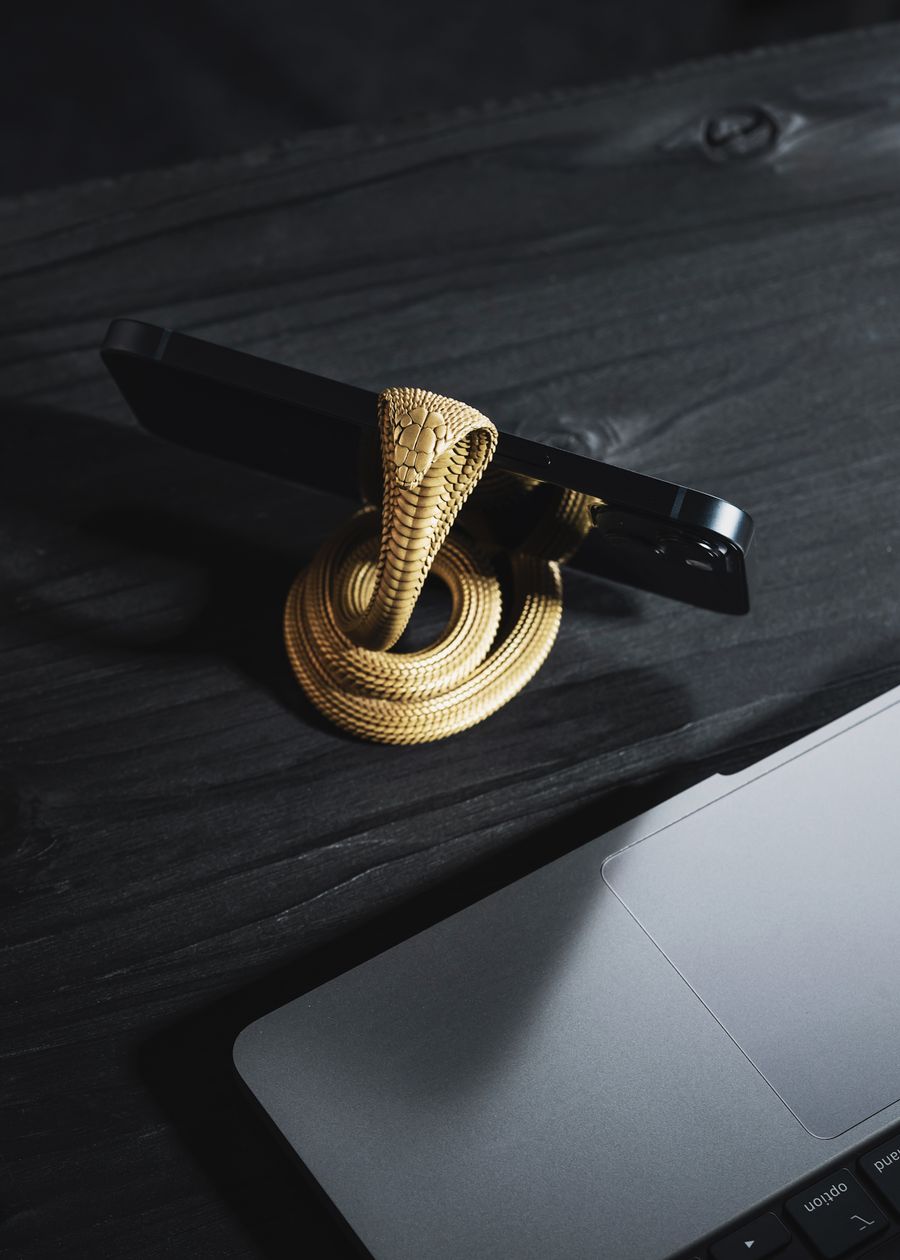 Universal Cable for Apple Watch