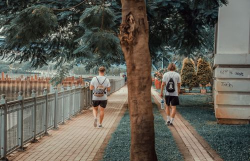 Free Two men enjoy a leisurely walk along a serene park pathway bordered by water and shady trees. Stock Photo