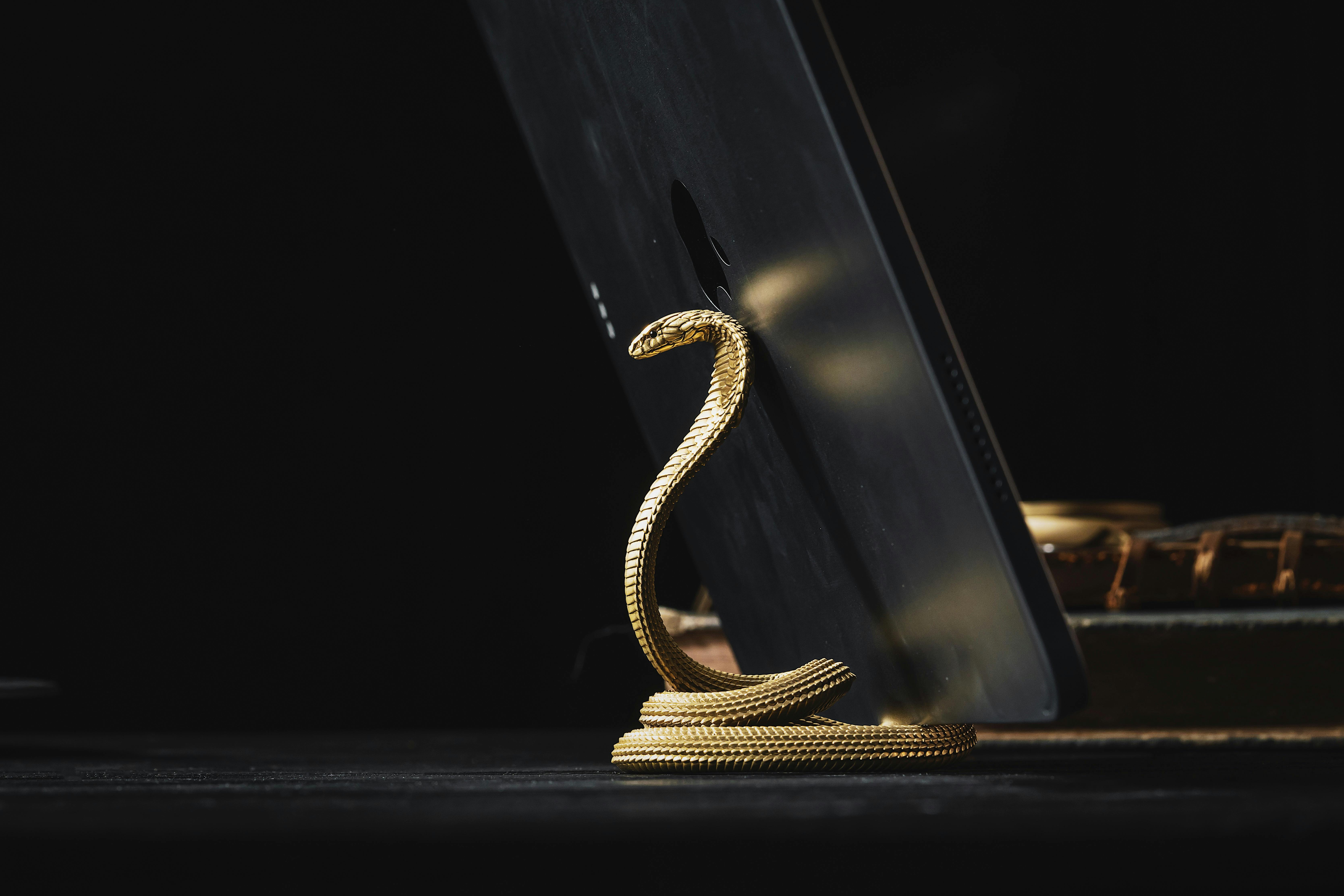 Best Tablet Stands (2026)