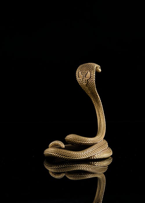 Close Up of Snake Figurine