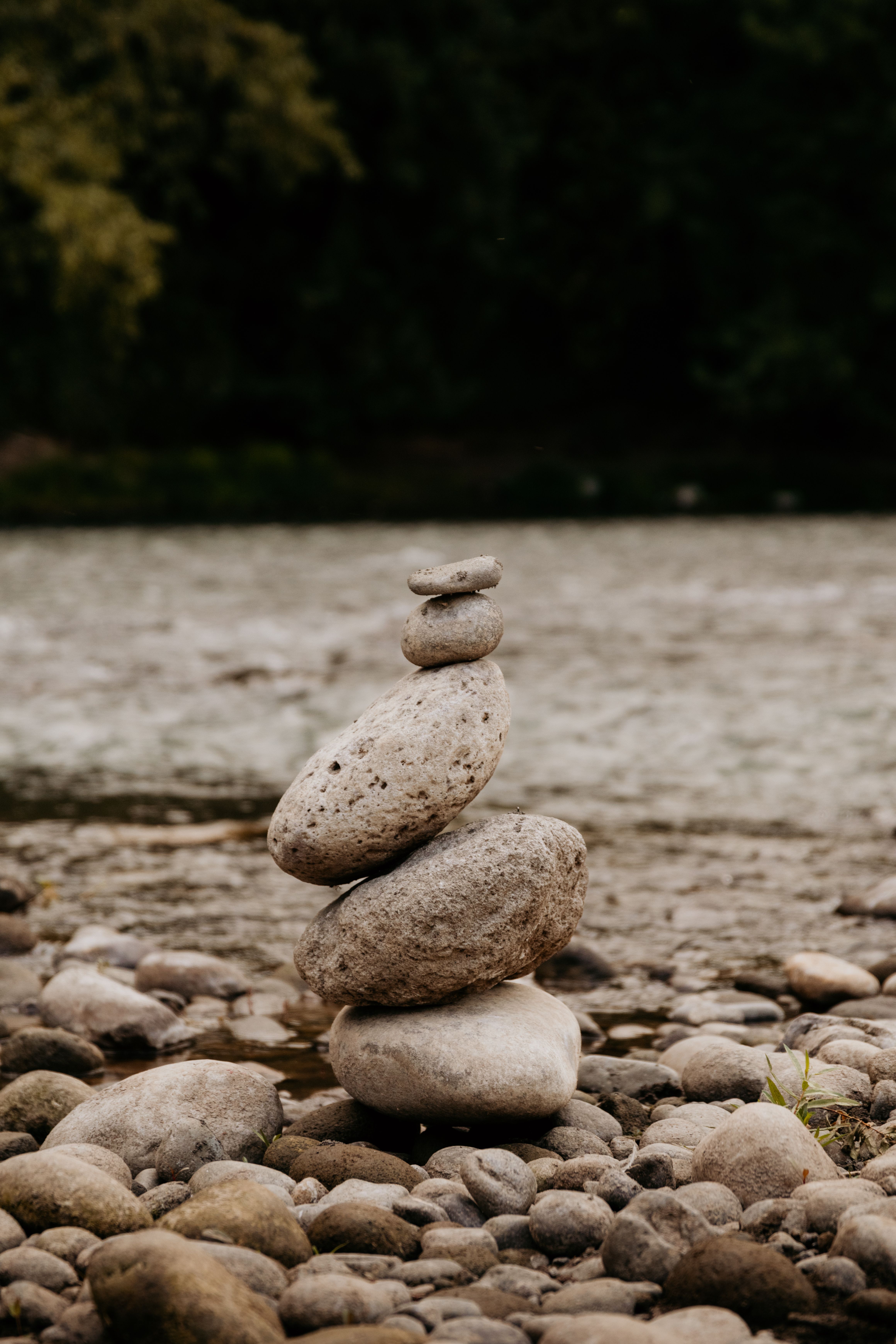 Five small steps toward kindness practice daily