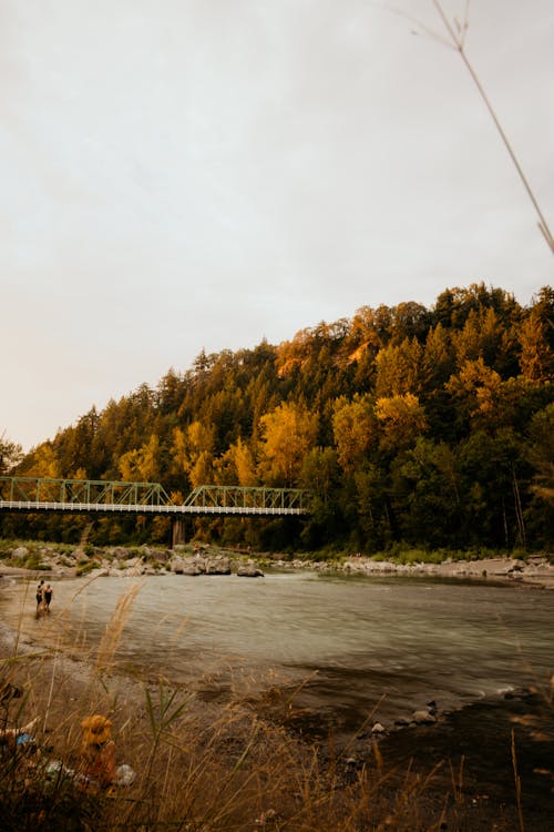 Gratis lagerfoto af dis, falde, landskab