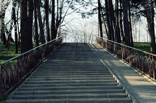 Fotos de stock gratuitas de arboles, caminar, escaleras