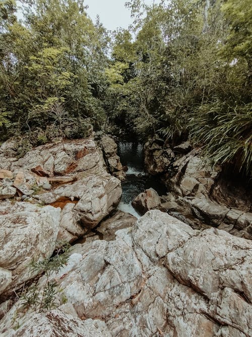 Бесплатное стоковое фото с вертикальный выстрел, водопад, деревья