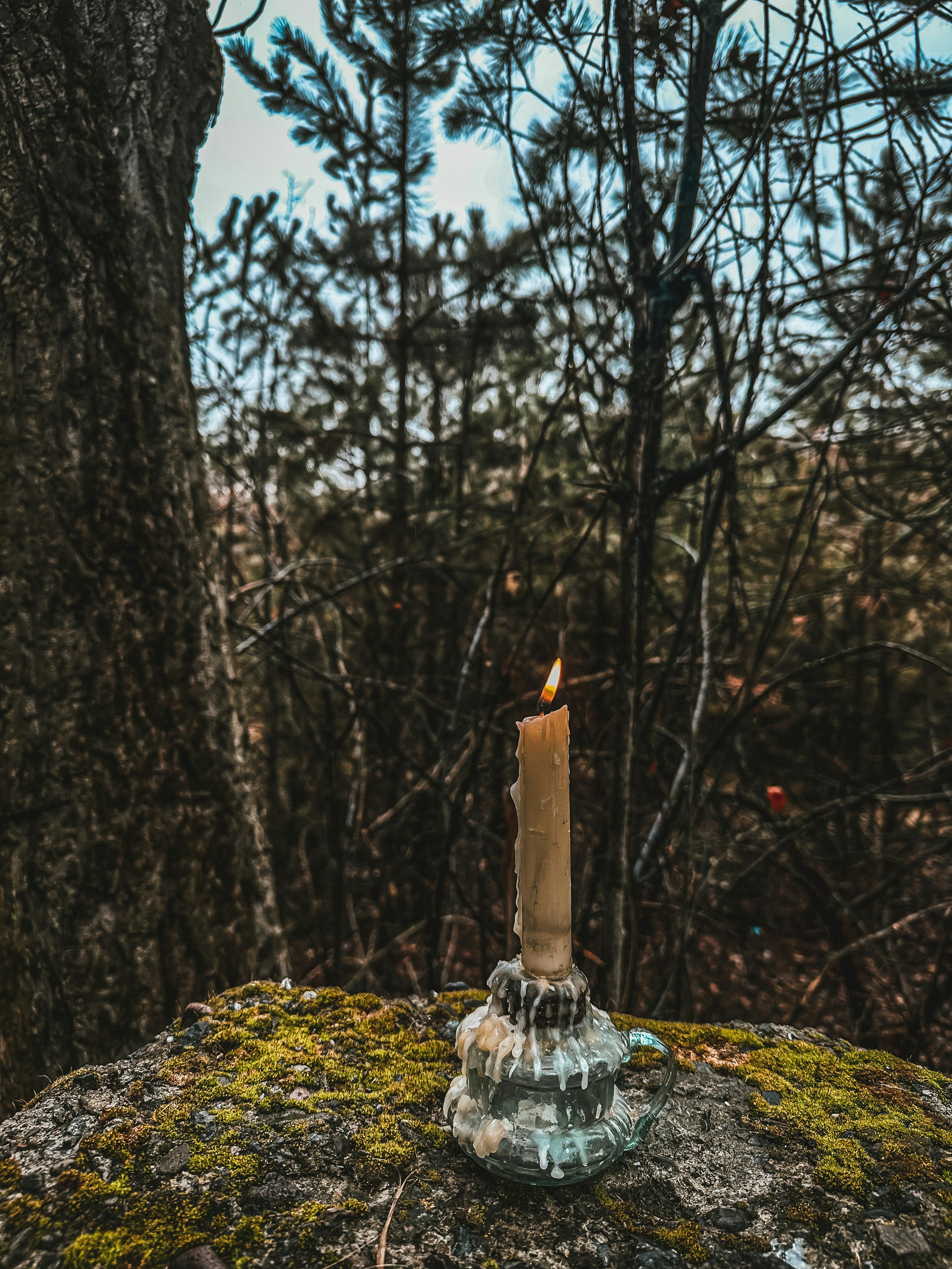 candle burning on a mossy rock