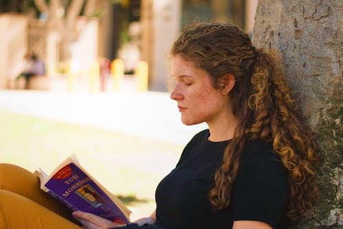 Free Photo of Woman Reading book Stock Photo