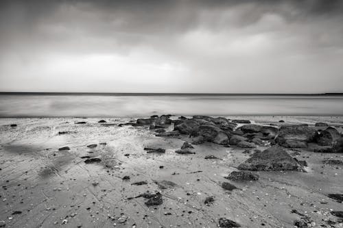 무료 해변의 회색조 사진 스톡 사진