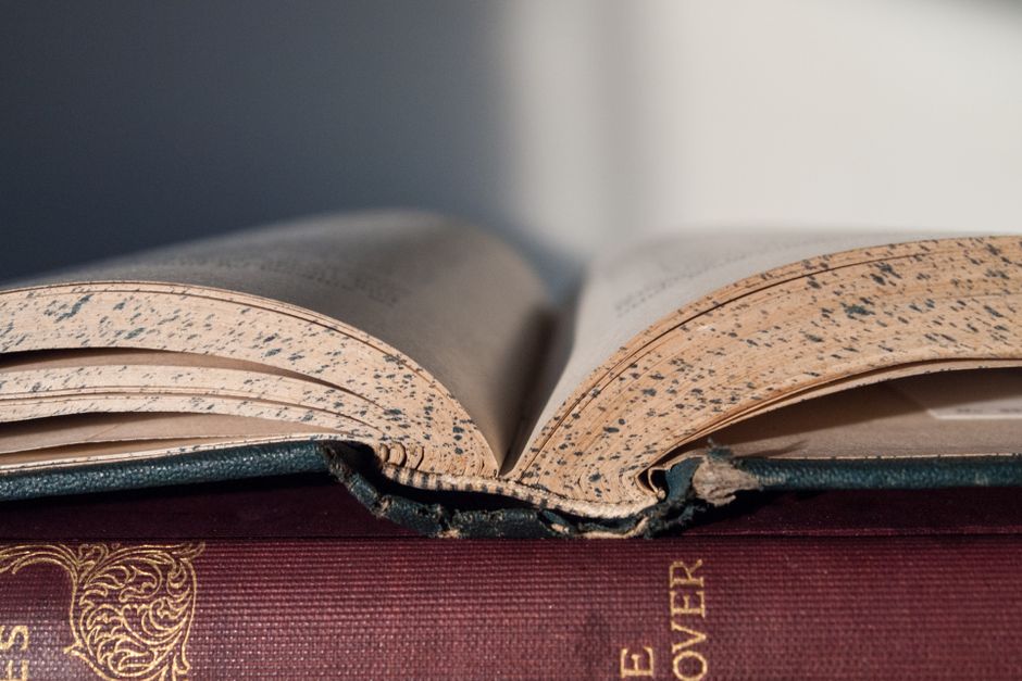 Beige Pages Book Open Free Stock Photo Beige pages book open free stock photo
