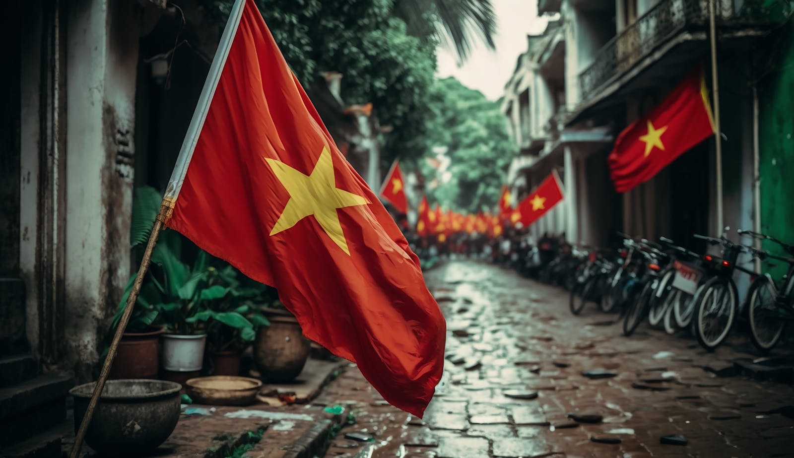 Vietnamese Flags Photos, Download The BEST Free Vietnamese Flags Stock ...