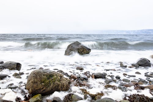 Ingyenes stockfotó barna sziklák, fjord, hab témában