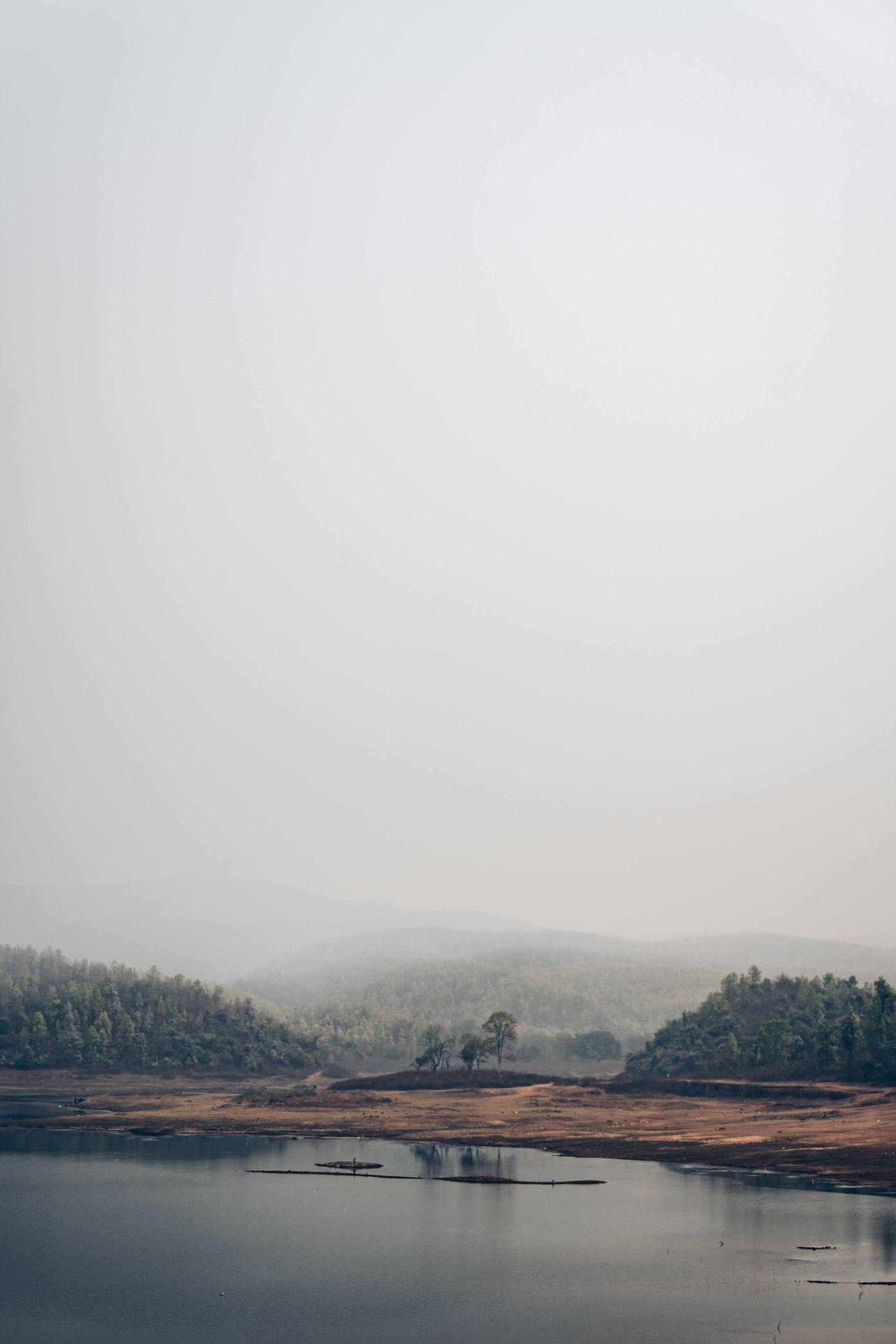 Mist over a forest reservoir at first light — representative image