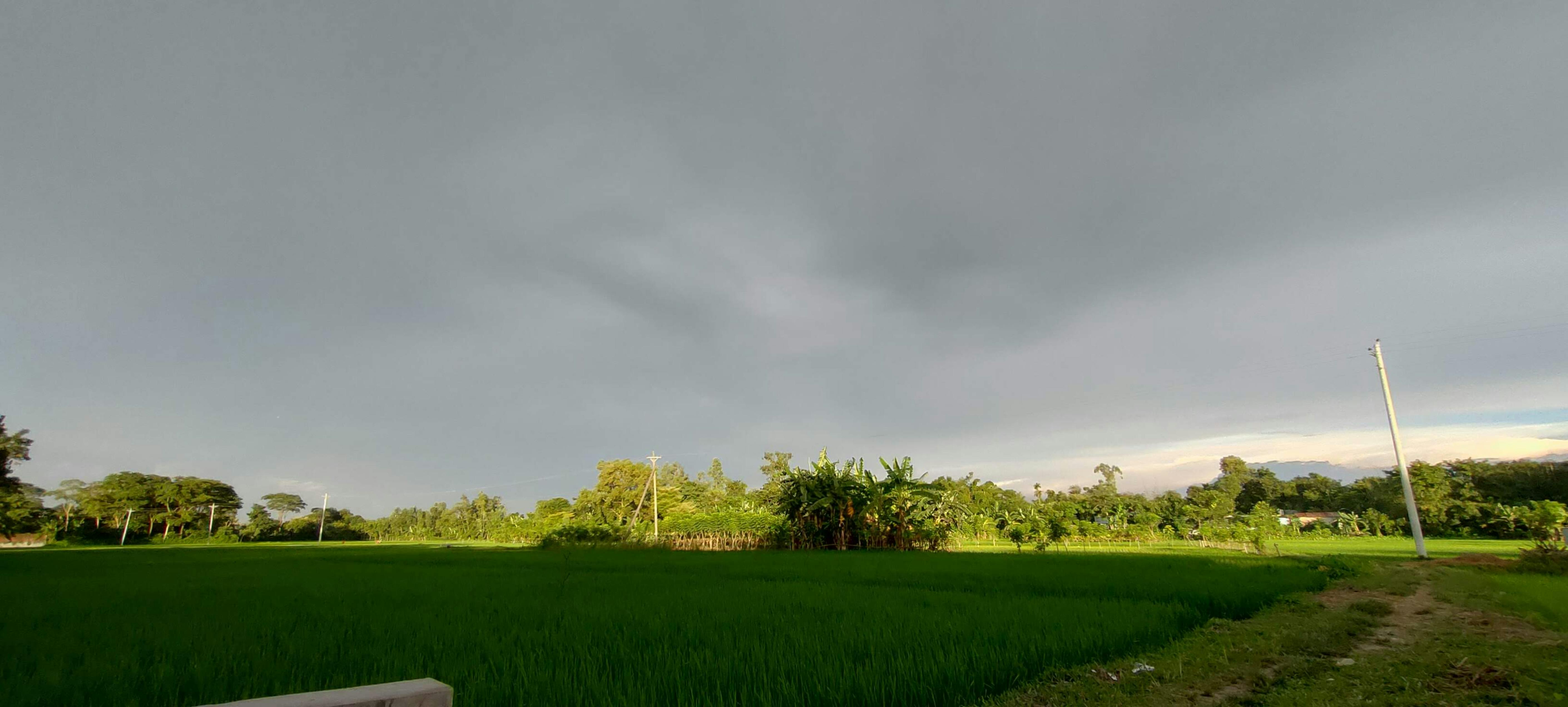 애플워치 브레이디드 루프 카키