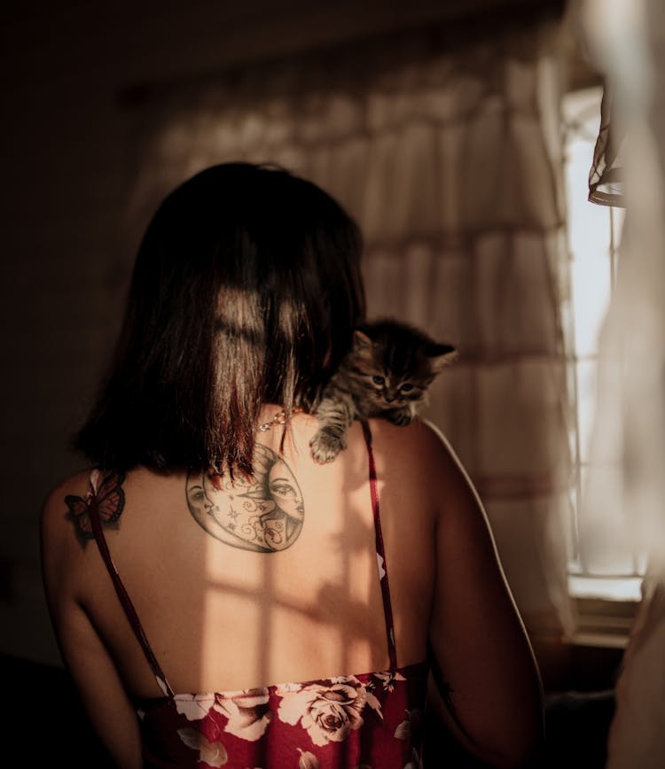 Back View Of A Woman Holding A Kitten On Her Shoulder 