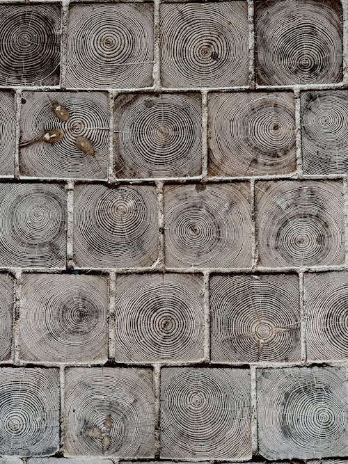 Gray Tiles with Concentric Circles Pattern