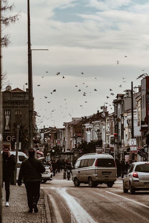 Free A lively street in a historic European city with cars, pedestrians, and birds. Stock Photo